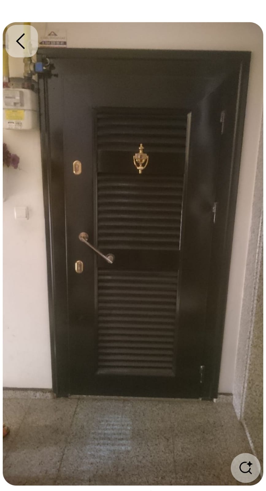Hasel Metal 